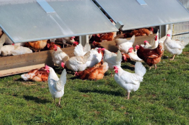 现代化规模；；；；；臣巴涝准庸は钅靠尚行匝芯勘ǜ