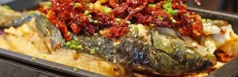 新宝GG—创立事业平台在线登录