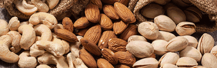 新宝GG—创立事业平台在线登录