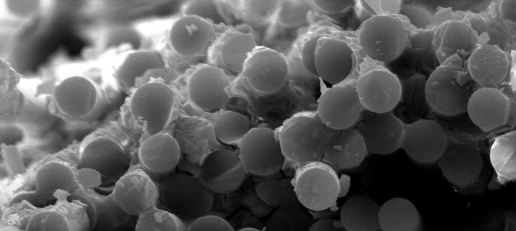 新宝GG—创立事业平台在线登录