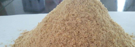 新宝GG—创立事业平台在线登录