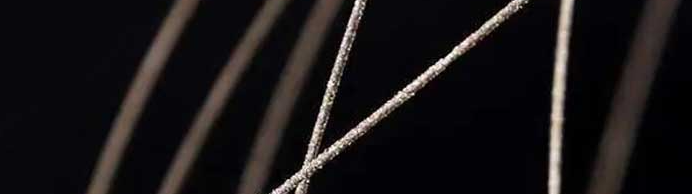 新宝GG—创立事业平台在线登录