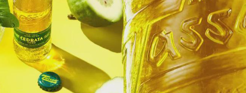 新宝GG—创立事业平台在线登录