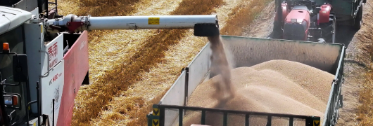 新宝GG—创立事业平台在线登录