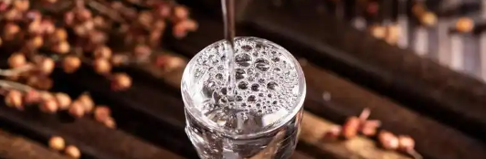 新宝GG—创立事业平台在线登录