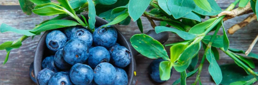 新宝GG—创立事业平台在线登录