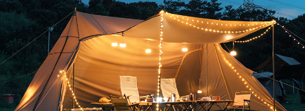 新宝GG—创立事业平台在线登录