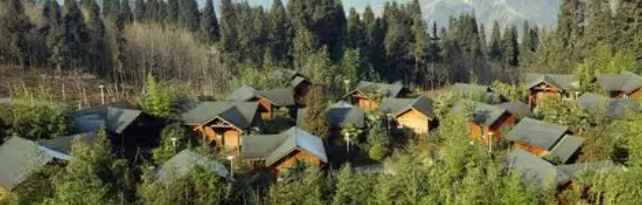 新宝GG—创立事业平台在线登录