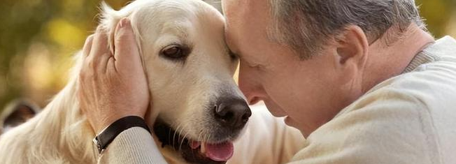 新宝GG—创立事业平台在线登录