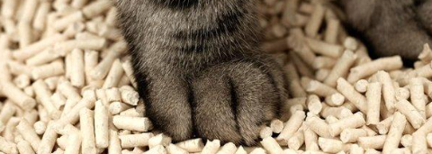 新宝GG—创立事业平台在线登录