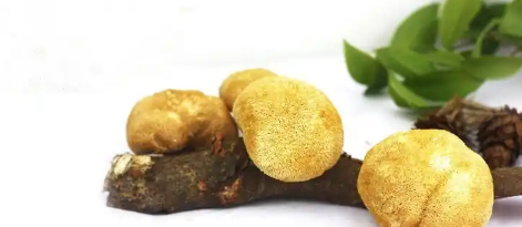 新宝GG—创立事业平台在线登录