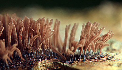 新宝GG—创立事业平台在线登录