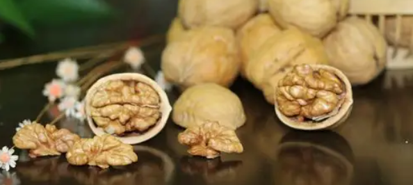 新宝GG—创立事业平台在线登录