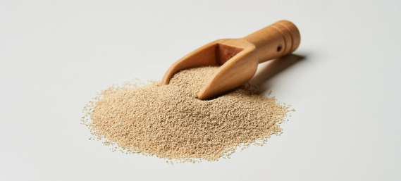 新宝GG—创立事业平台在线登录