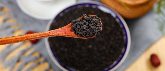 新宝GG—创立事业平台在线登录