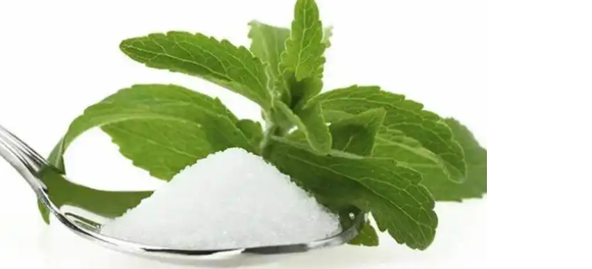 新宝GG—创立事业平台在线登录