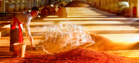 新宝GG—创立事业平台在线登录