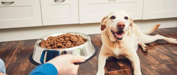 新宝GG—创立事业平台在线登录