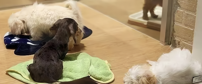 新宝GG—创立事业平台在线登录