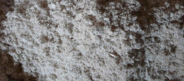 新宝GG—创立事业平台在线登录