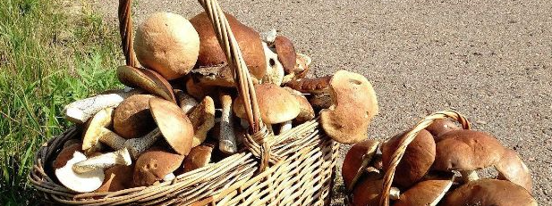 新宝GG—创立事业平台在线登录