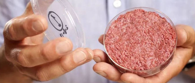 新宝GG—创立事业平台在线登录