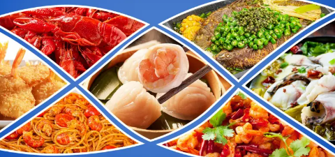 新宝GG—创立事业平台在线登录