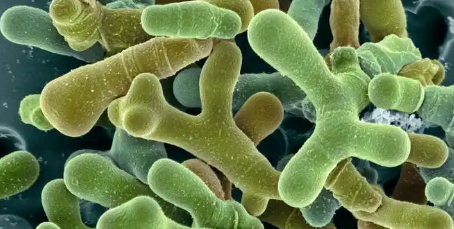 新宝GG—创立事业平台在线登录