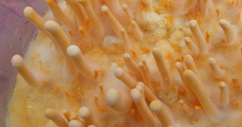 新宝GG—创立事业平台在线登录