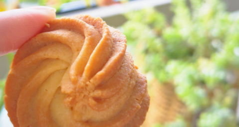 新宝GG—创立事业平台在线登录