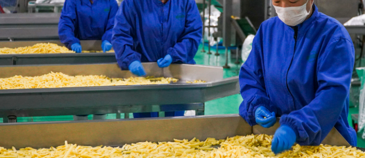 新宝GG—创立事业平台在线登录