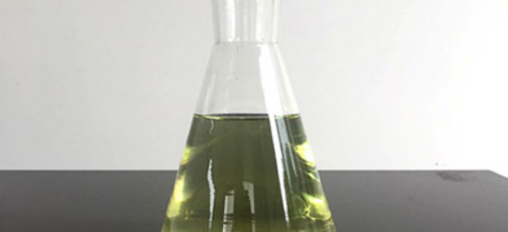 新宝GG—创立事业平台在线登录