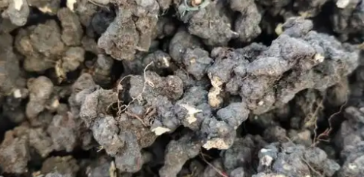 新宝GG—创立事业平台在线登录