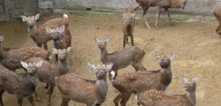 新宝GG—创立事业平台在线登录