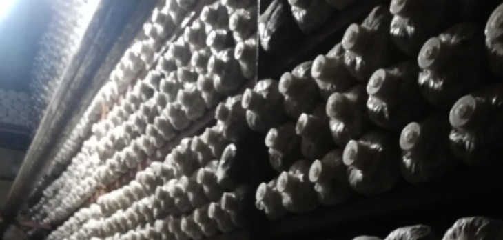 新宝GG—创立事业平台在线登录