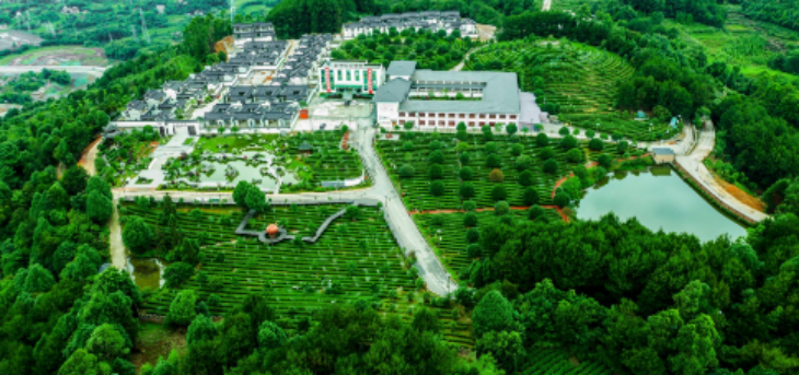 新宝GG—创立事业平台在线登录