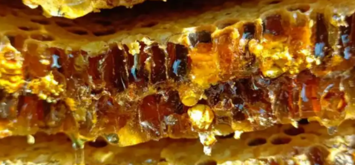 新宝GG—创立事业平台在线登录