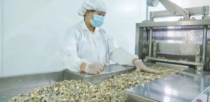 新宝GG—创立事业平台在线登录