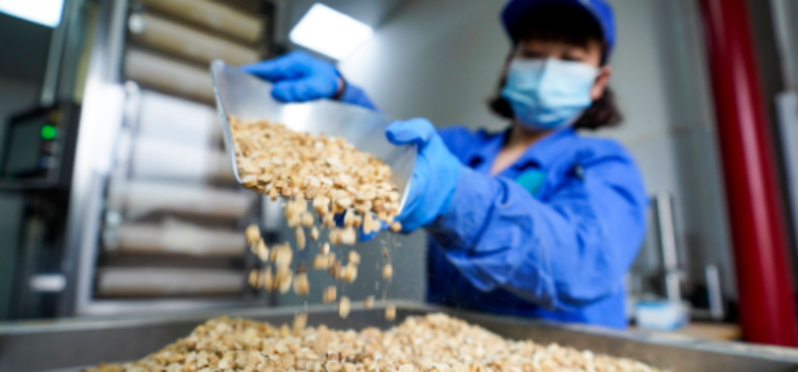 新宝GG—创立事业平台在线登录