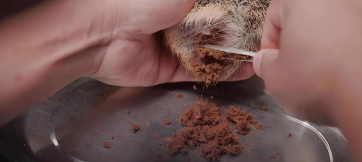 新宝GG—创立事业平台在线登录