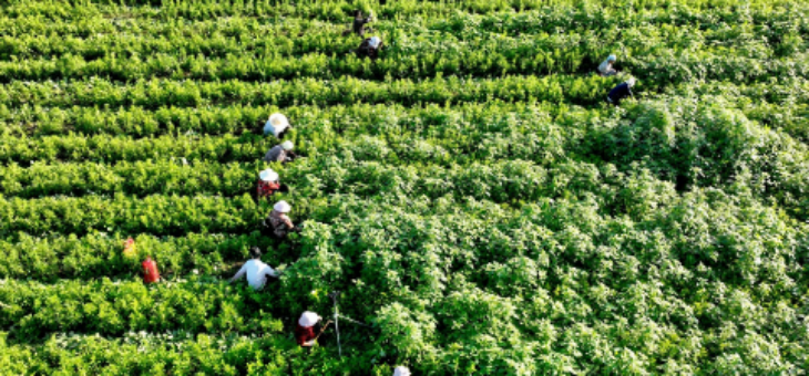 新宝GG—创立事业平台在线登录