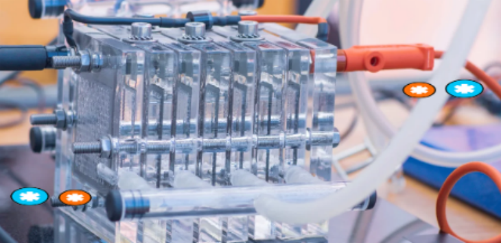 新宝GG—创立事业平台在线登录