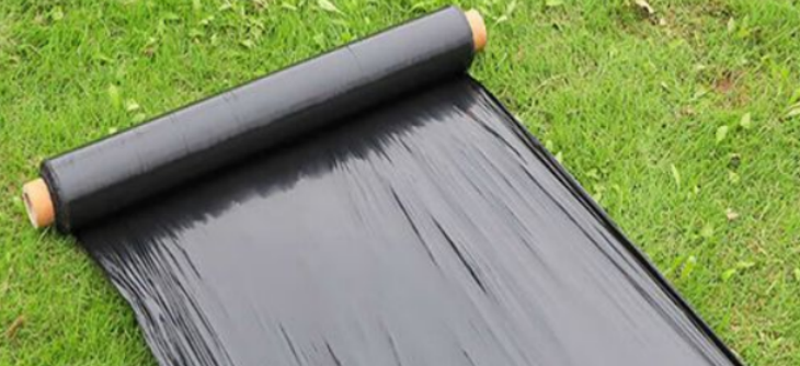 新宝GG—创立事业平台在线登录