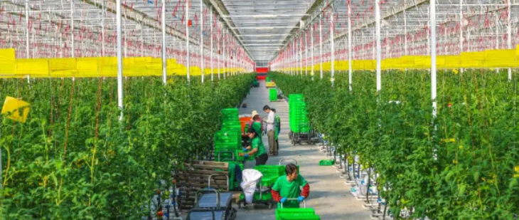 新宝GG—创立事业平台在线登录