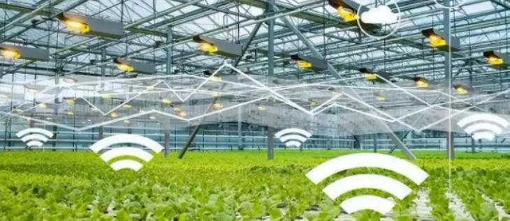 新宝GG—创立事业平台在线登录