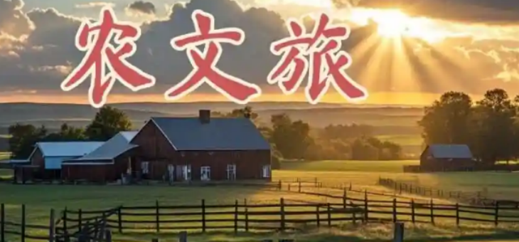 新宝GG—创立事业平台在线登录