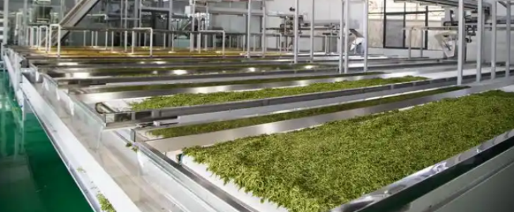 新宝GG—创立事业平台在线登录