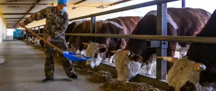 新宝GG—创立事业平台在线登录