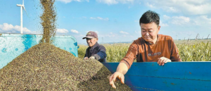 新宝GG—创立事业平台在线登录