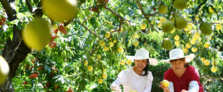 新宝GG—创立事业平台在线登录